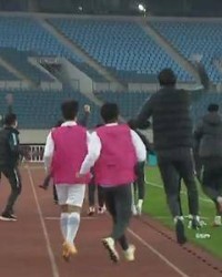  图卢兹绝杀Troyes保级成功 球迷冲进场庆贺  